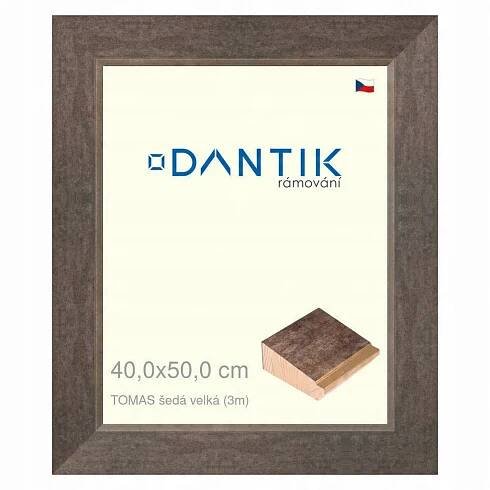 DANTIK rámeček na obraz 40x50