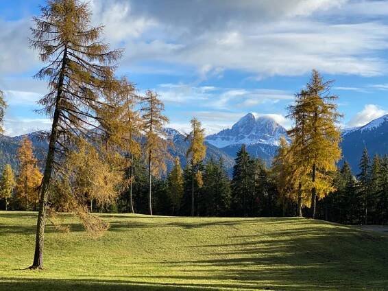 Herbstwanderung im Eisacktal: hier gibt’s die Schönste!