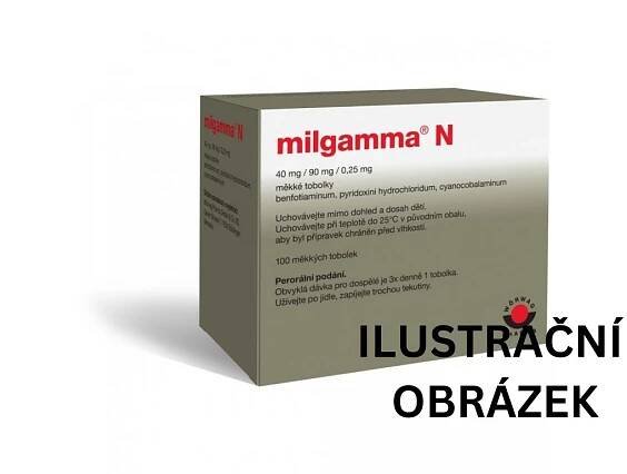 milgama100