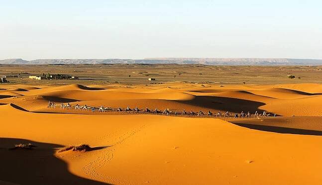 Fes Desert Tours Tourist Transport Agency in Fez,Morocco