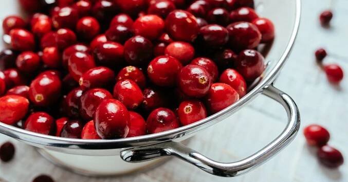 Herbs for UTIs: 8 Natural Supplements and Teas