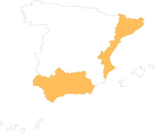 Persimmons in Spain and in the world - DOP Kaki Ribera del Xúquer