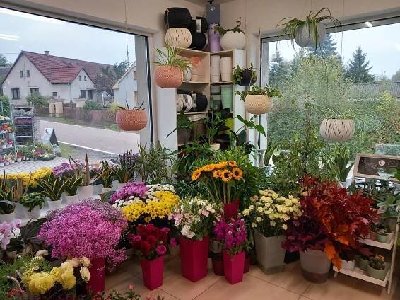 Floristka z Veselé: Mladí chtějí moderní dušičkové dekorace, starší tradiční