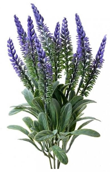 Umělá rostlina levandule Provence – 36 cm od 65 Kč - Heureka.cz