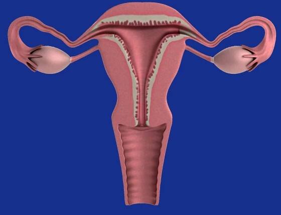 Trápí vás zvětšené břicho? Gynekolog může odhalit 4 vážné důvody!