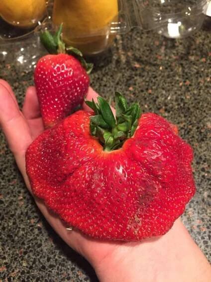 someone is holding two strawberries in their hand