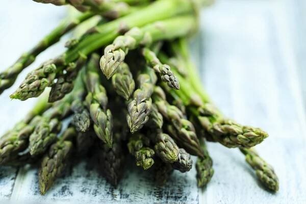 Chřest (asparagus) – Jak jej pěstovat a využití v kuchyni