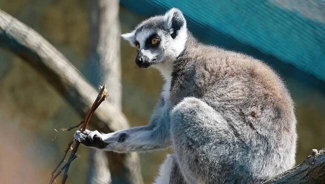 ZOO PARK Vyškov - Vyškov, Jižní Morava | Regiontourist.cz