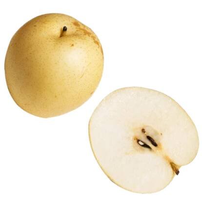 Pyrus pyrifolia