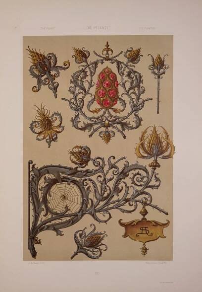 32 Beautiful Vintage Plant Art Plates by Martin Gerlach - Picture Box Blue