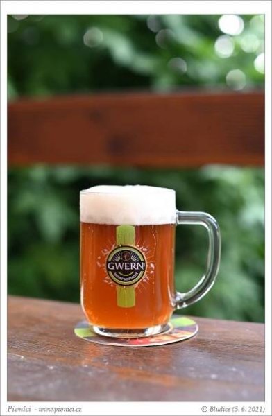Gwern IPA 13°