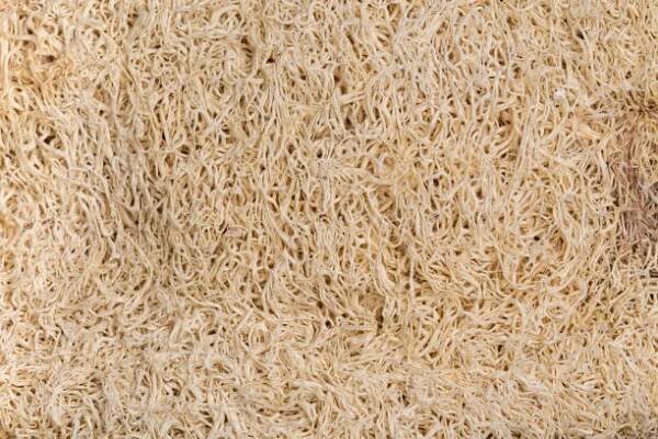 texture of bathroom sponge made with fully ripened luffa fruit - lufa válcovitá - stock snímky, obrázky a fotky