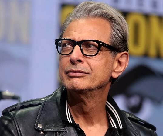 Jeff Goldblum Biography - Facts, Childhood, Family Life & Achievements