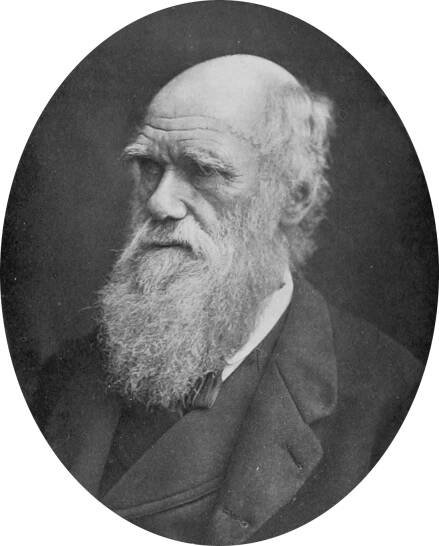 The New International Encyclopædia/Darwin, Charles Robert - Wikisource, the free online library