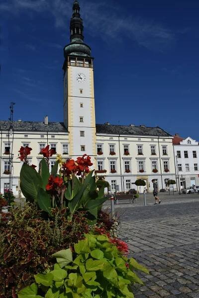 Litovelská radnice v létě, autor: Marie Vykydalová