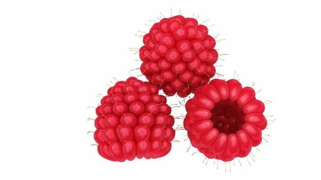 mega fruit vegatable 50 3D https://p.turbosquid.com/ts-thumb/Tj/97gpUa/zue04yvb/0raspberry2/jpg/1588765452/1920x1080/fit_q87/7306a0cbb2fa738ac0374881cc0522ab78585eec/0raspberry2.jpg