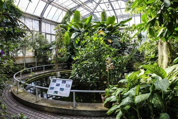 Botanická zahrada, Praha, Josef Pepíno Balek