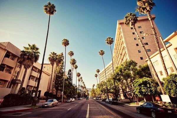Palm ulicích beverly hills — Stock obrázek