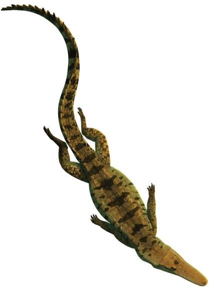 Artists rendering of Isisfordia