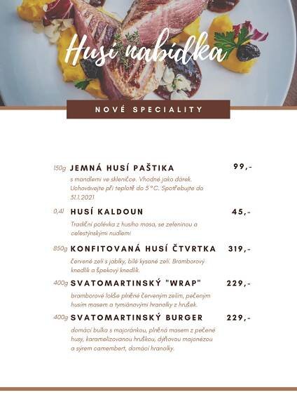 Ukažte Deníku své husy! Podpořte místní restauraci, nebo pošlete svou domácí