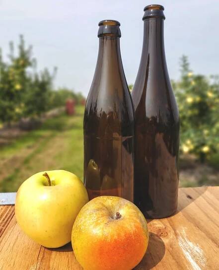 Welcome to Apple 101! 🤓🍎 The question of the day is: how many apples does it take to make a cider? It's dependent on the variety, but in general it requires the juice of 6 apples for our 500 mL bottles of cider and 9 apples for our 750 mL bottles. 