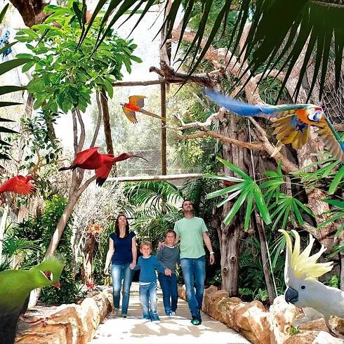 Koupit vstupenky na Jungle Park