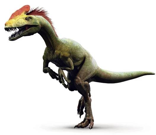 Birds Evolved From Dinosaurs Slowly—Then Took Off | National Geographic