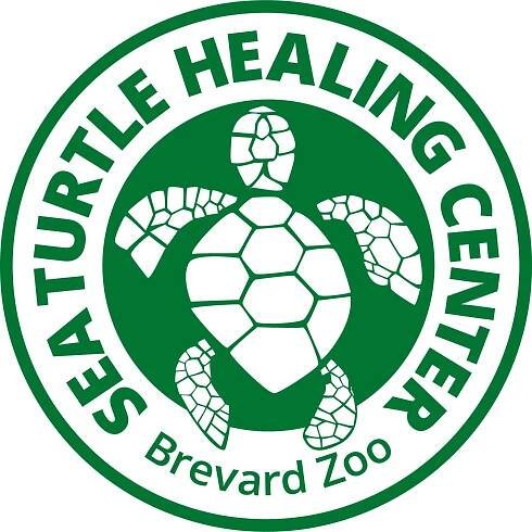 Brevard Zoo Sea Turtle Healing Center