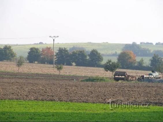 Čarodějka