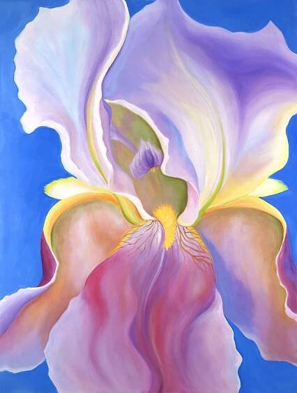 Iris - California Fine Art By Rachel Lee