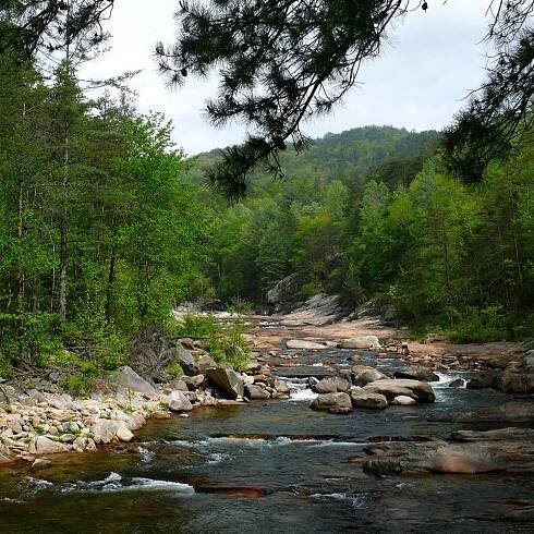 Grandfather Mountain and Wilson Creek Need Your Help