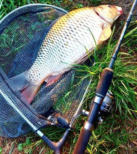Anglingtackle.cz - MIDDY | YUKI Competition | YUKI-SEAGUAR | HJG-DRESCHER| RINGERS