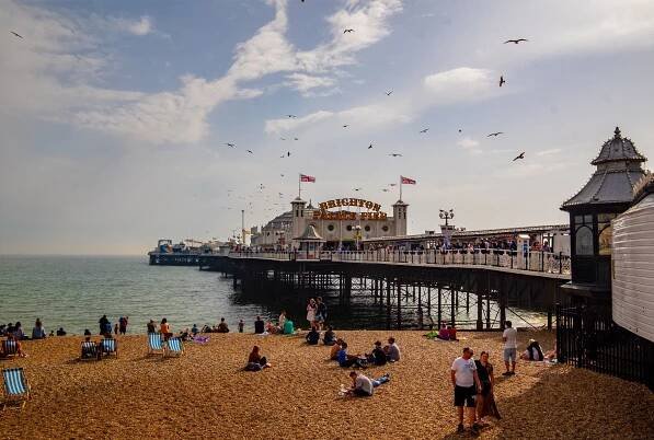 Where To Go For Vegan Food in Brighton