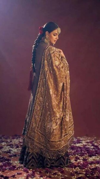 Genelia D'Souza exudes elegance in picture-perfect ethnic attires