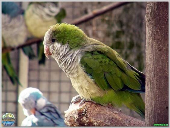 Fauna Park - Dětský ráj Valašské Meziříčí - Štěpánov