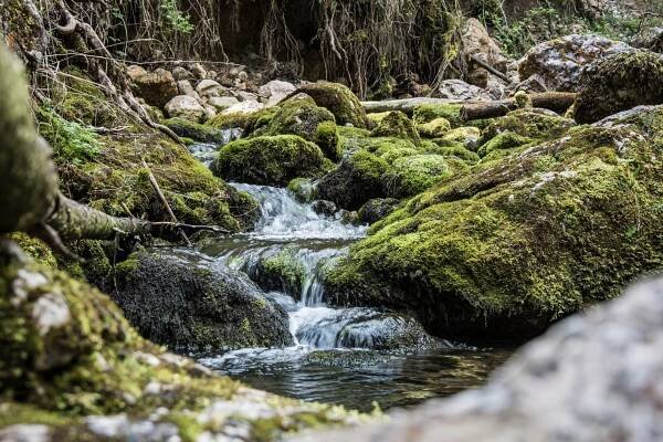 Gollinger Wasserfall | Jandlbauer Appartements