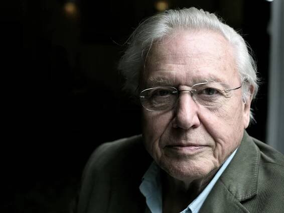 Sir David Attenborough — things you didn't know about the legendary broadcaster