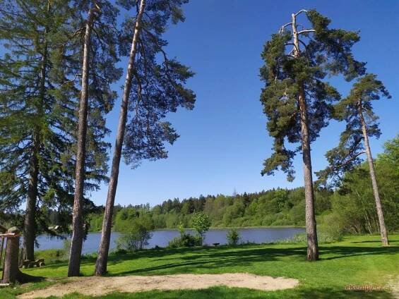 Kemp Pod Hrází Velké Dářko - Škrdlovice, Žďár nad Sázavou | CzechCamping.com