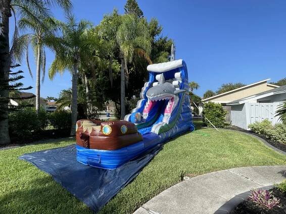 Shark Water Slide Rental