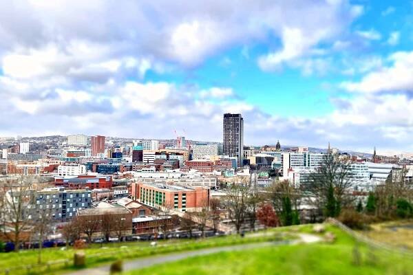 Have your say for nature in the Sheffield City Centre Consultation