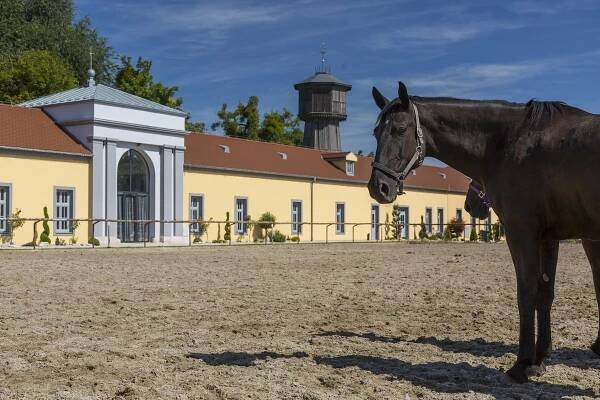 Fotografie | rastlinná výroba, skladovanie produktov rastlinnej výroby a wellness » Poľno SME, s.r.o. Palárikovo