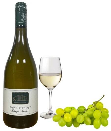 Grüner Veltliner DAC 2024