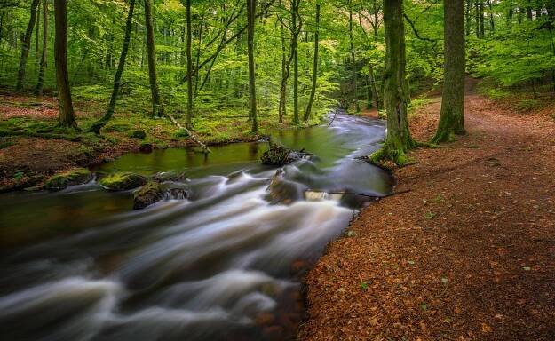 Gässlösa naturreservat i Halland. Photograph: Björn Sehlin