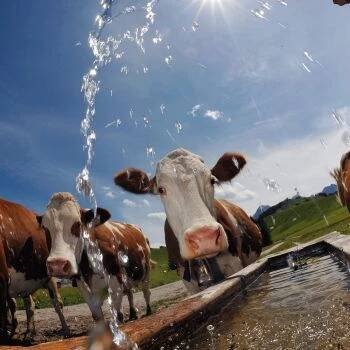 Sommer Start (DE)