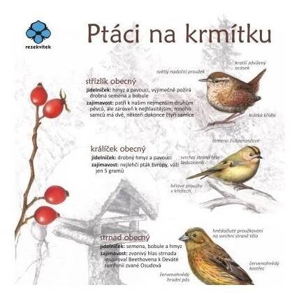 Ptáci na krmítku pomůcka k určování