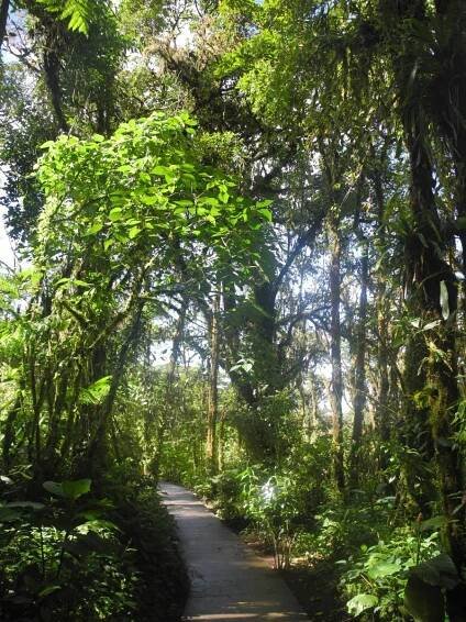 Monteverde - Travel Addiction