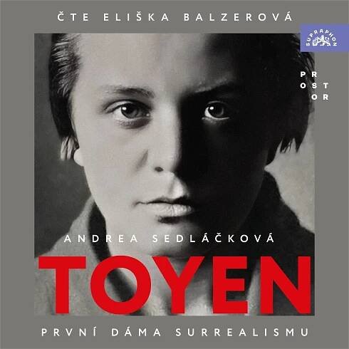 Obálka audioknihy Toyen
