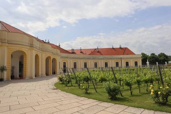 Venue Information – dHealth