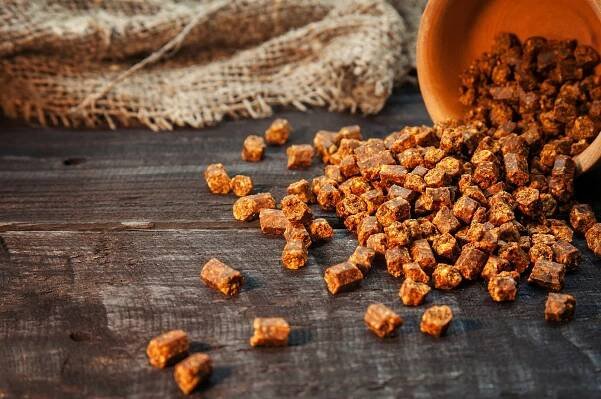 Včelí chléb a lidské zdraví. Pyl zpracovaný včelami je superpotravina, obsahuje vitamíny, bílkoviny i minerály