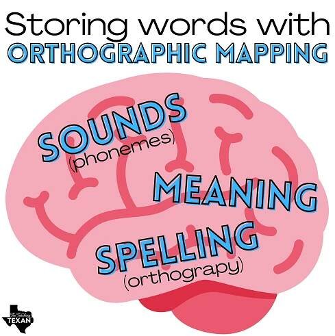 Building Blocks of Reading: Orthographic Mapping - The Teaching Texan